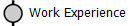 Work Experience