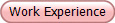 Work Experience