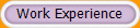 Work Experience