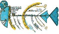 Graphic Organizers