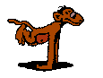 a monkey