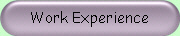 Work Experience