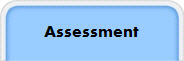 Assessment