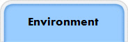 Environment