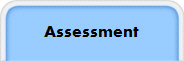 Assessment
