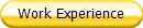 Work Experience