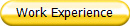 Work Experience