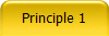 Principle 1
