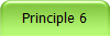 Principle 6