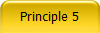 Principle 5