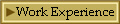 Work Experience