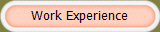 Work Experience