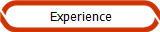  Experience