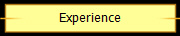 Experience